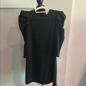 Elegant Black Dress with Statement Sleeves